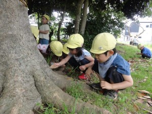 2023　5月22日　年少クラス　自然さがし